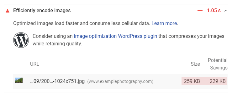 Google PageSpeed Insights - Efficiently encode images
