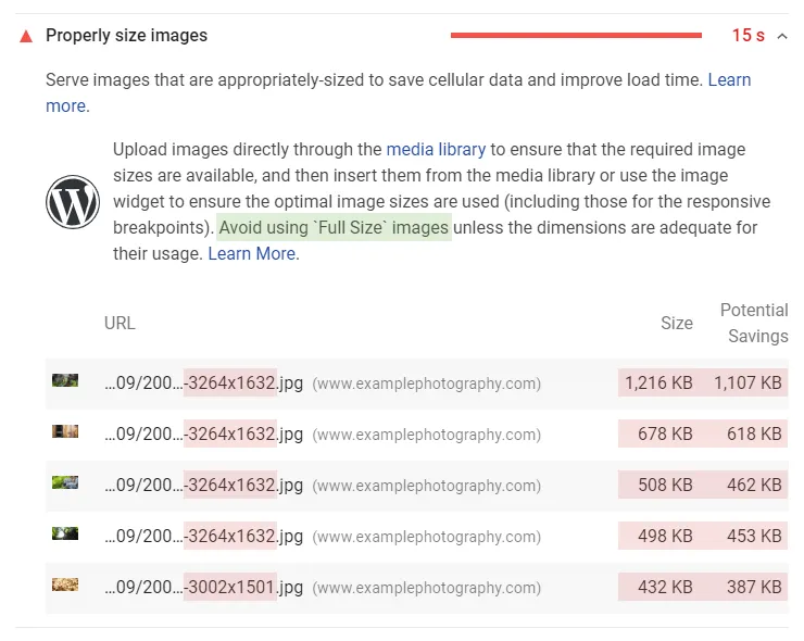 Google PageSpeed Insights - properly size images