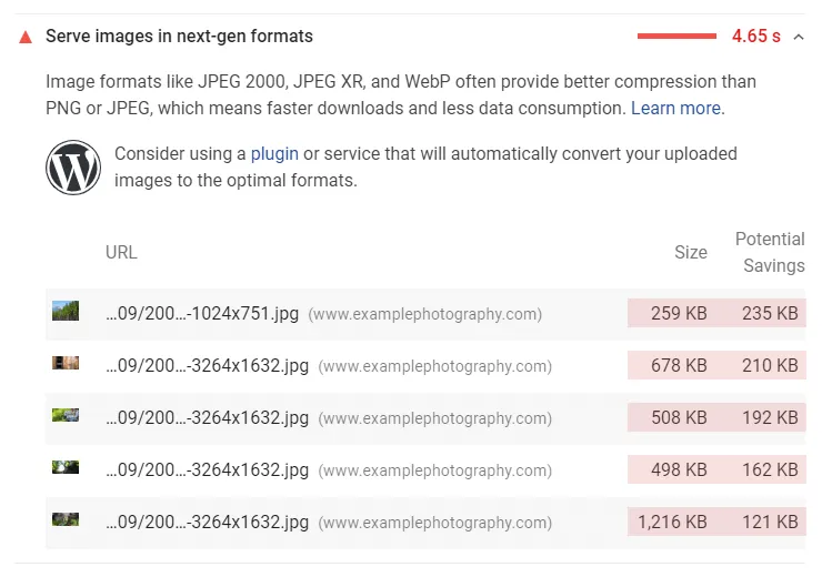 Google PageSpeed Insights - serve images in next-gen formats