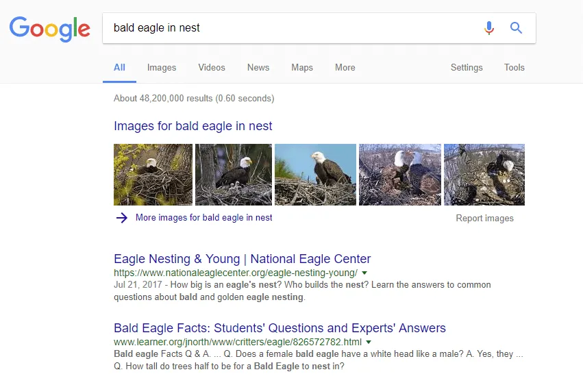 Example of Google SERP image pack feature