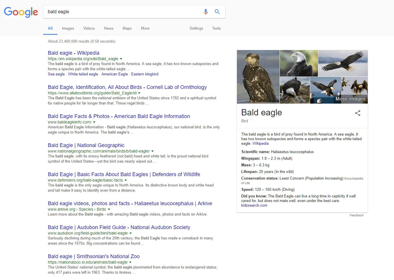 Example of Google SERP feature