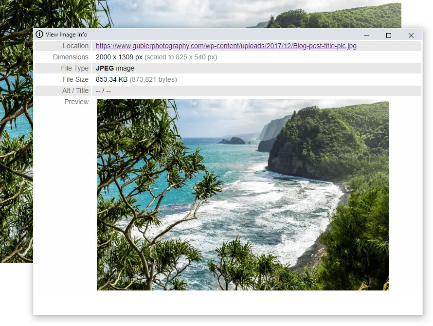 View image info chrome extension preview