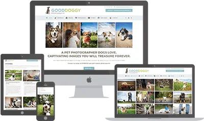 Good D. Photography website preview